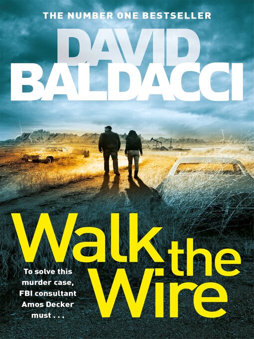 Title details for Walk the Wire by David Baldacci - Wait list